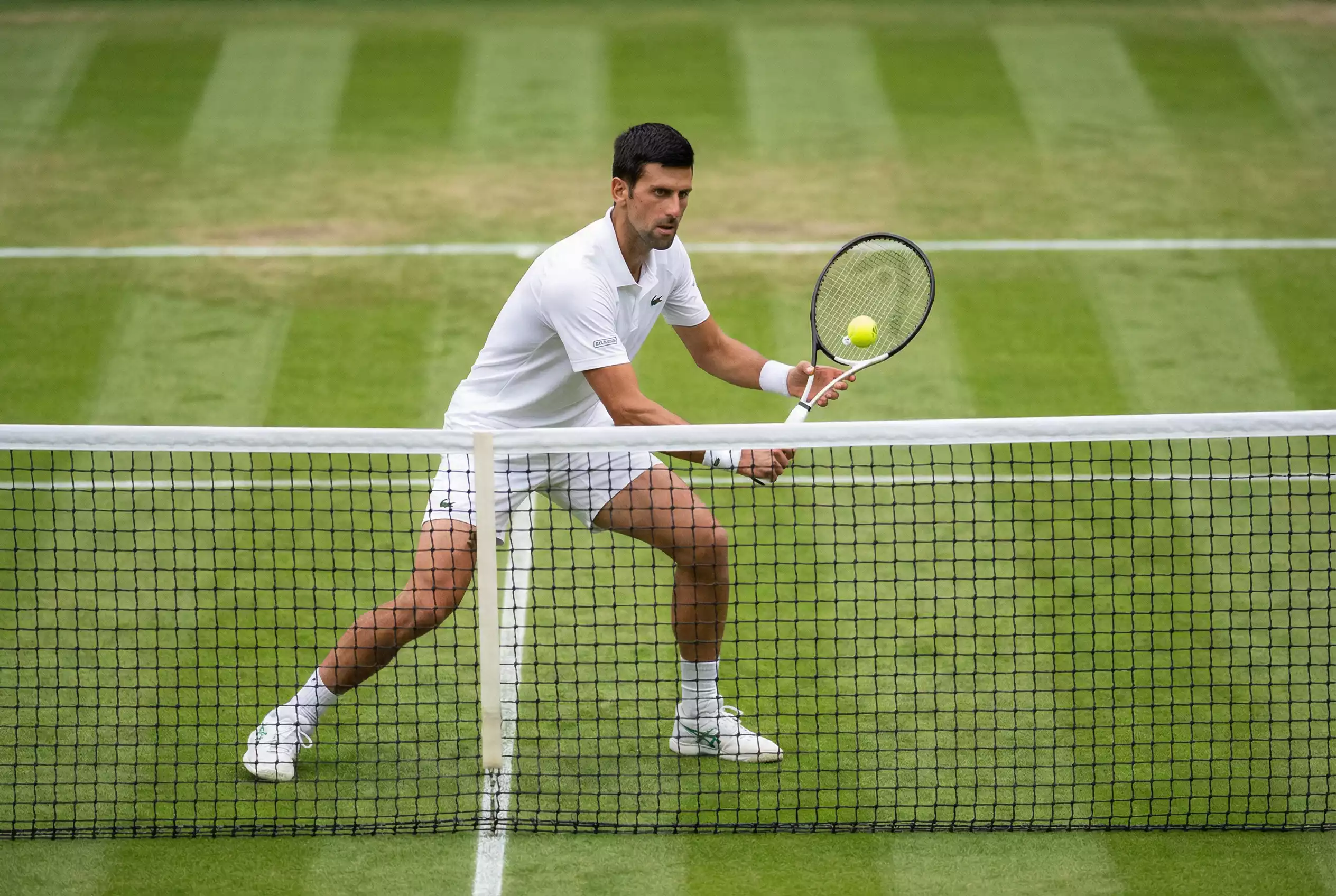 Tennisspieler am Netz auf Rasenplatz – Strategie für Handicap-Wetten